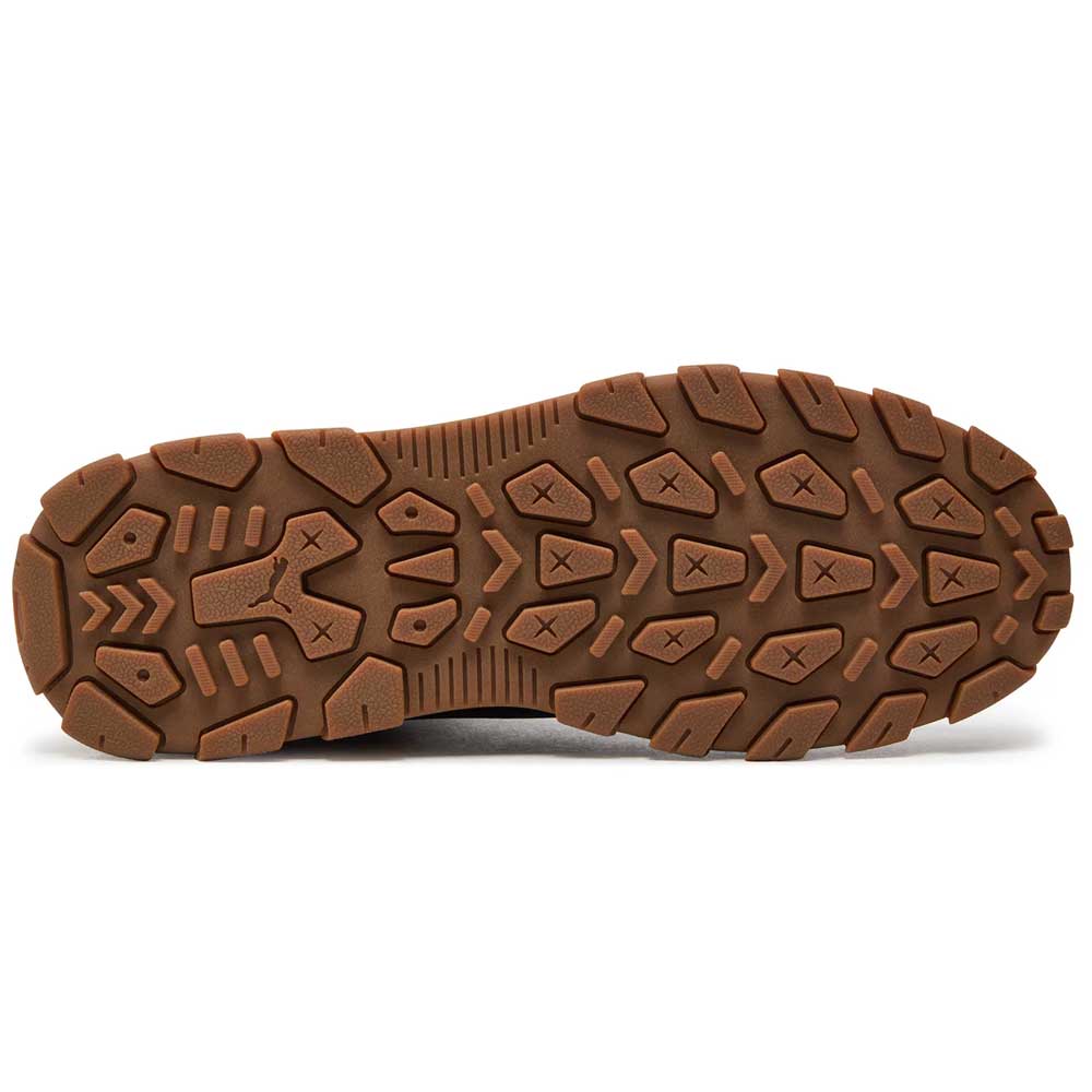 Puma rebound abrupt