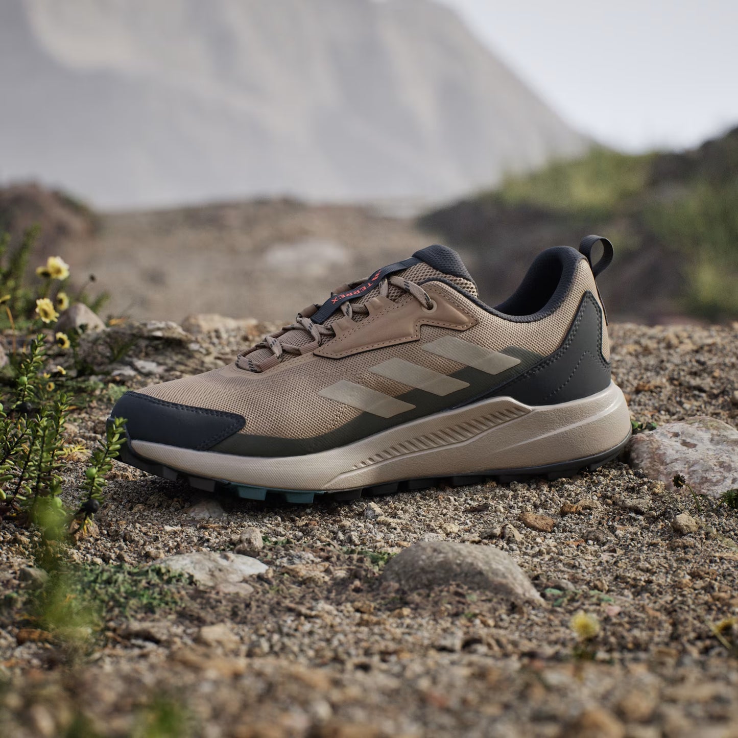 Terrex Anylander Hiking Shoes