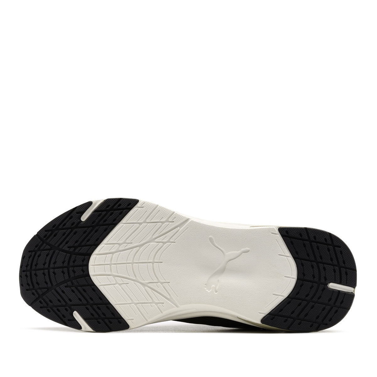 Puma Wave