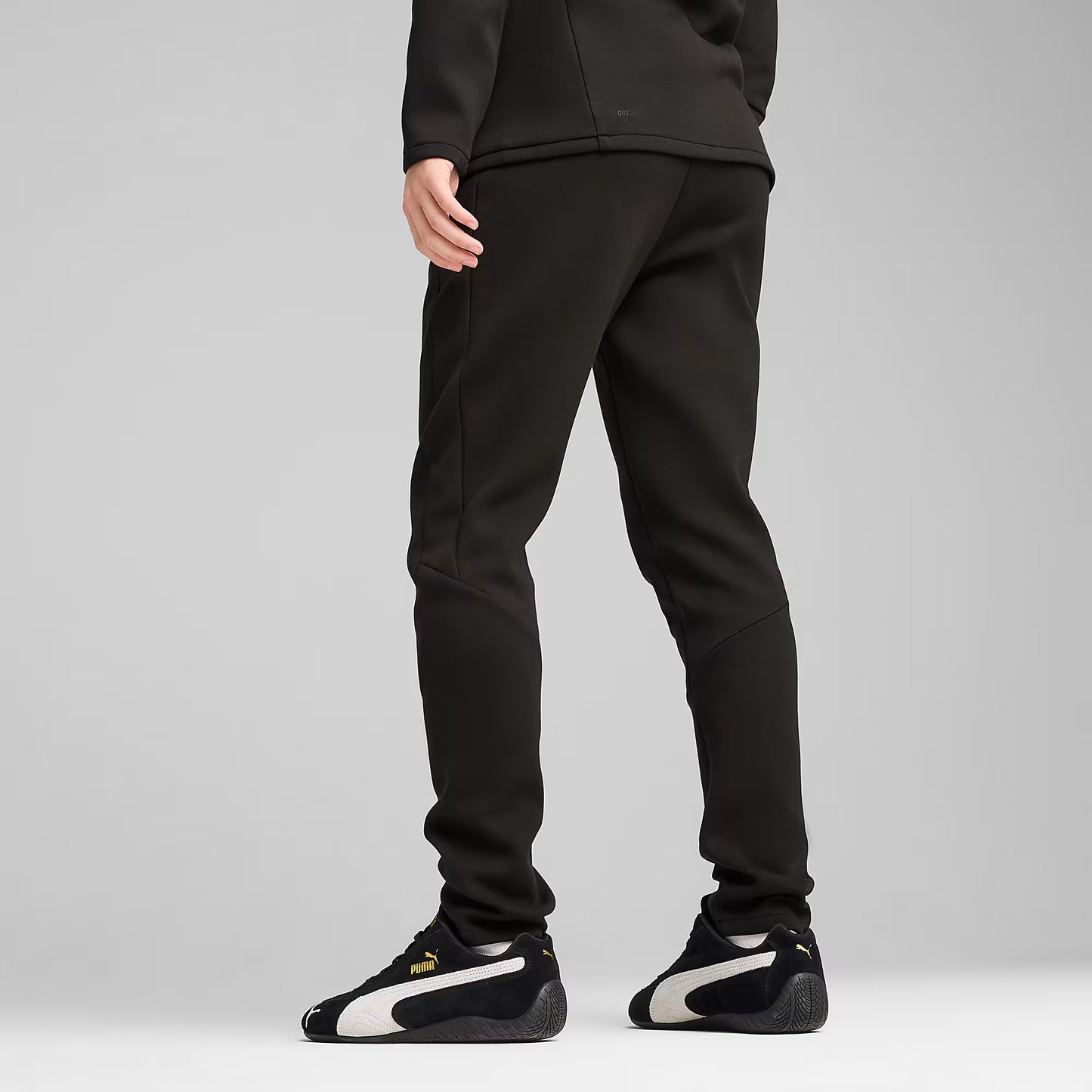 Evostripe Core Hoodie Men
