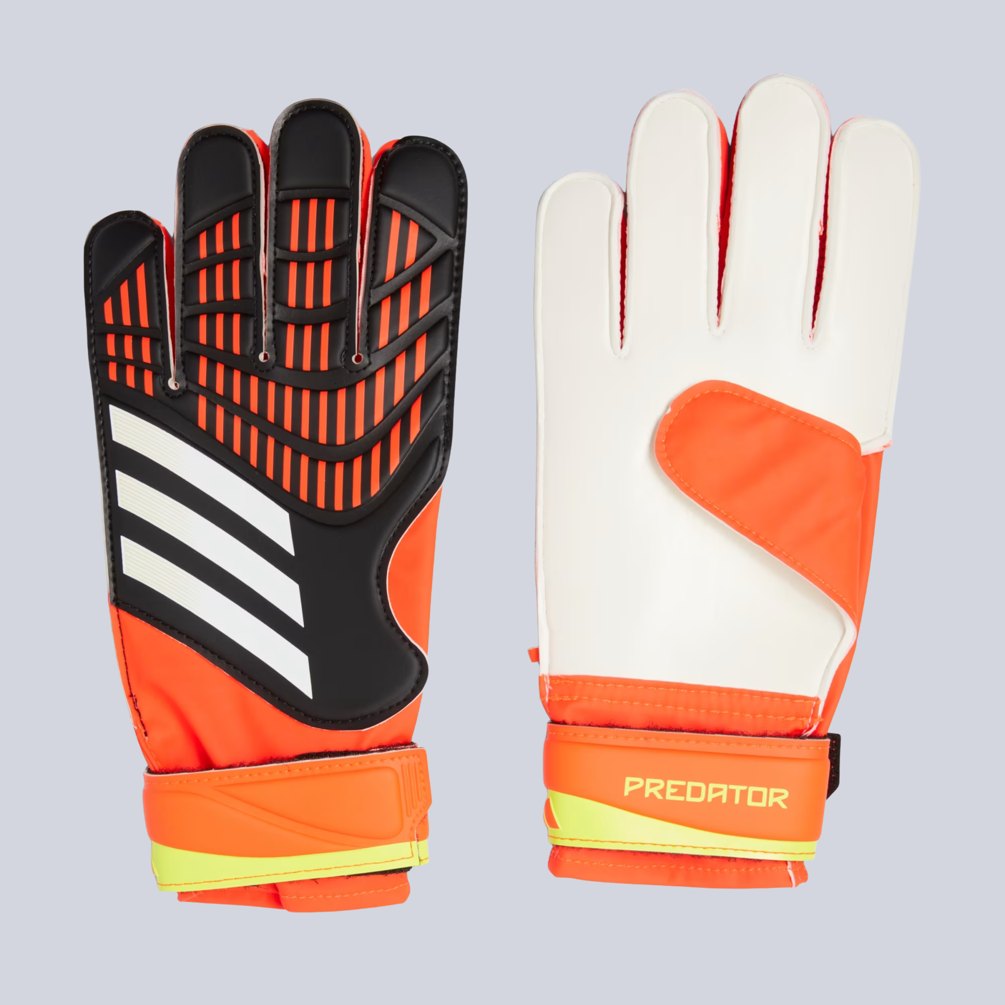 Predator Training Goalkeeper Gloves – LABI SPORT