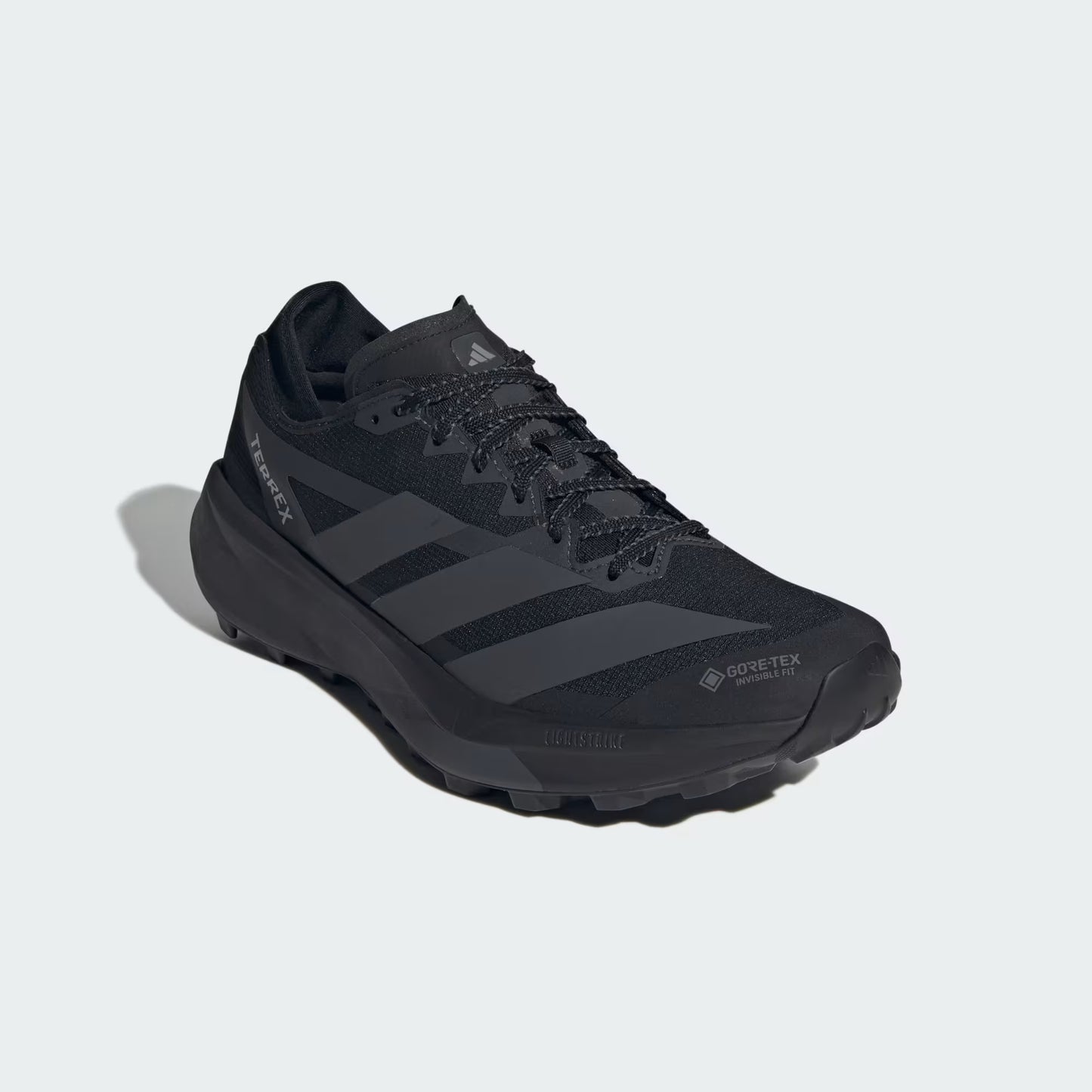 Terrex Agravic GTX 2 Trail Running Shoes