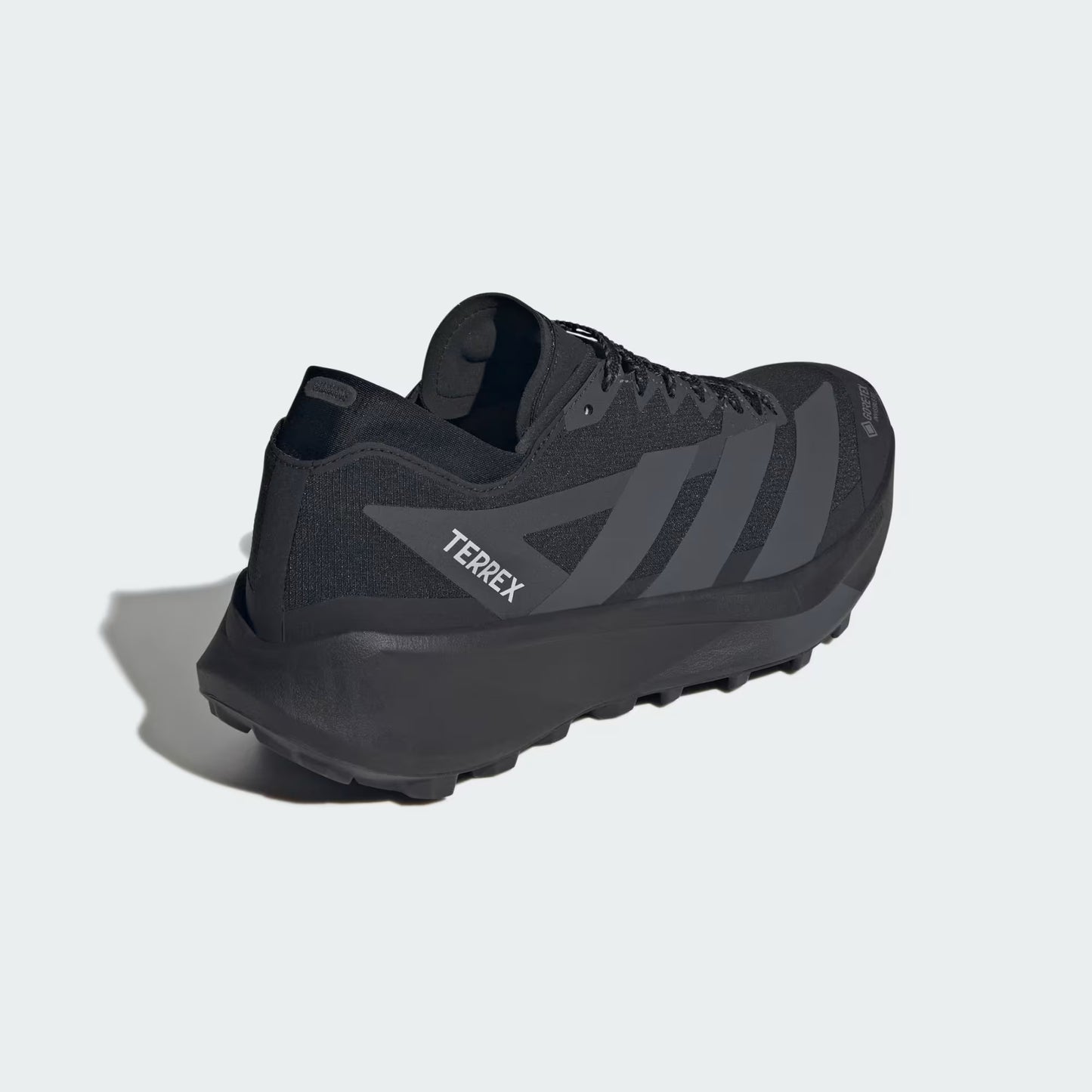 Terrex Agravic GTX 2 Trail Running Shoes