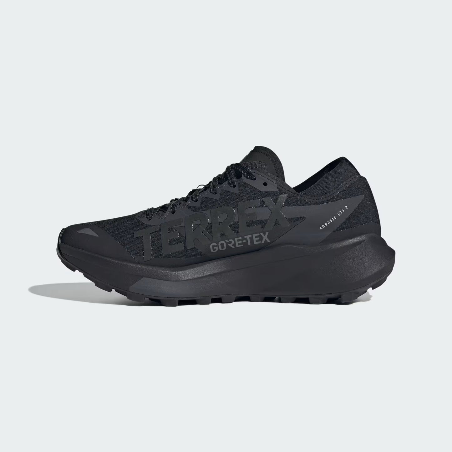 Terrex Agravic GTX 2 Trail Running Shoes