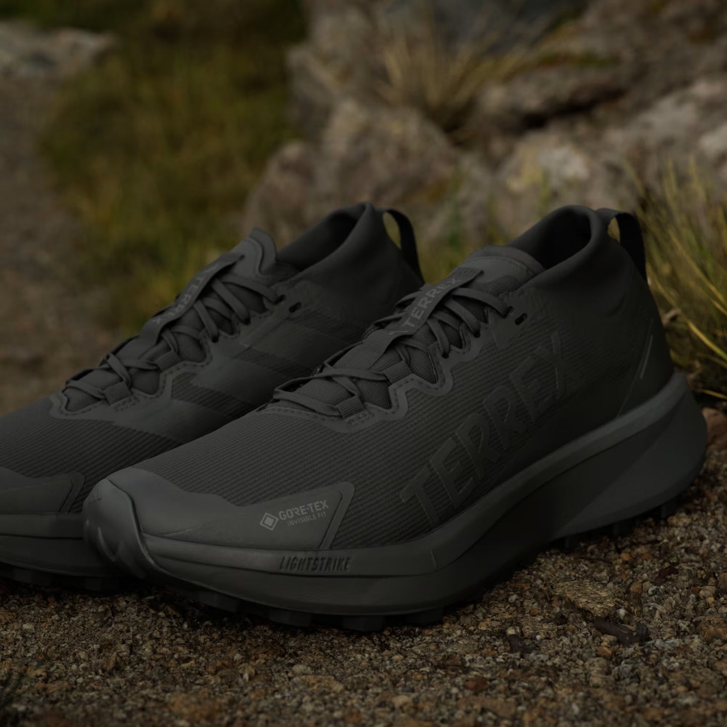 Terrex Agravic GTX Trail Running Shoes