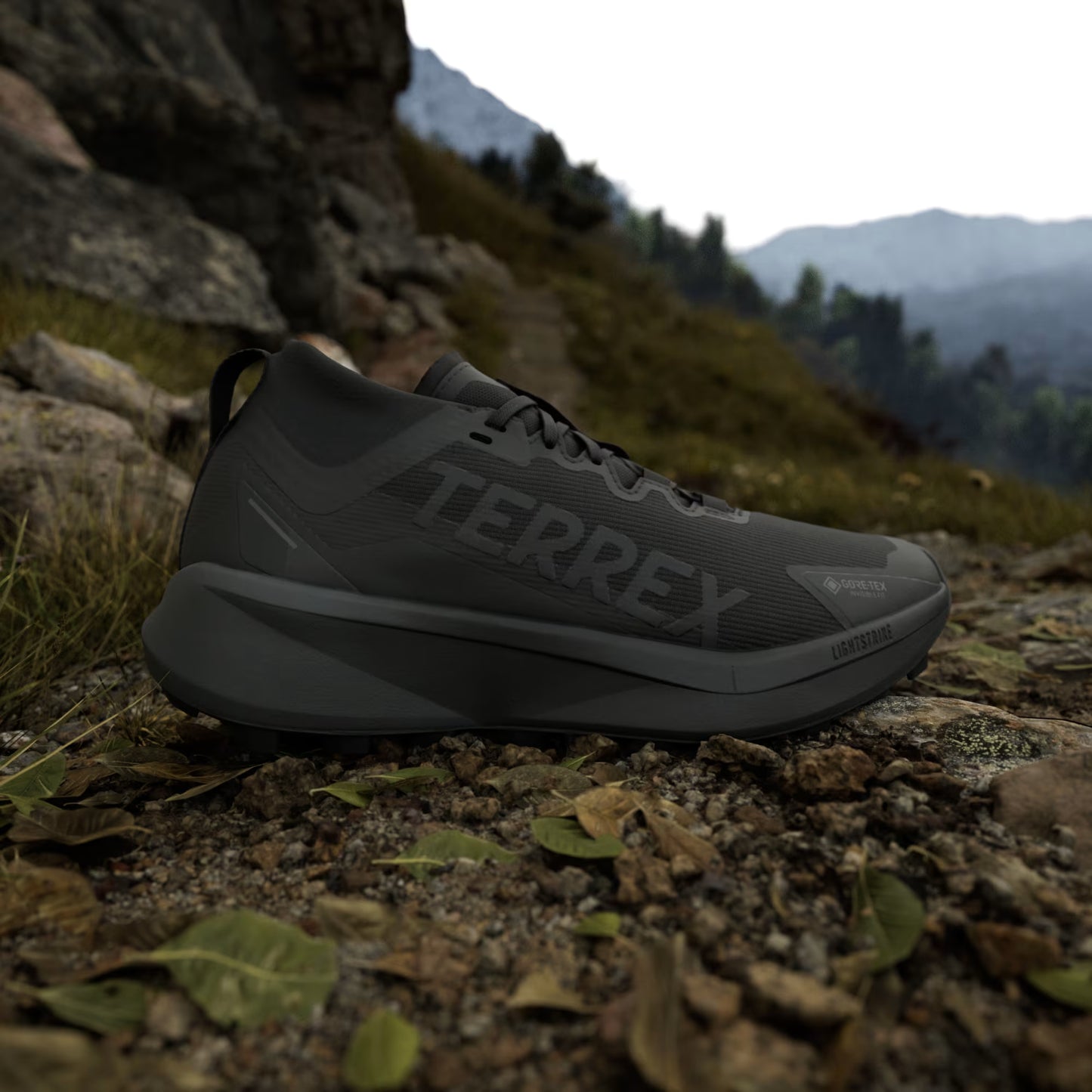 Terrex Agravic GTX Trail Running Shoes