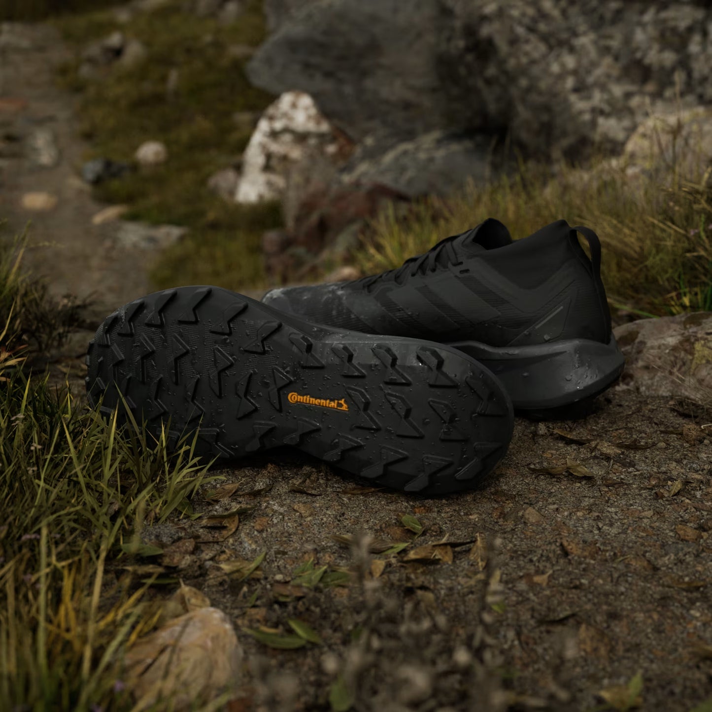 Terrex Agravic GTX Trail Running Shoes