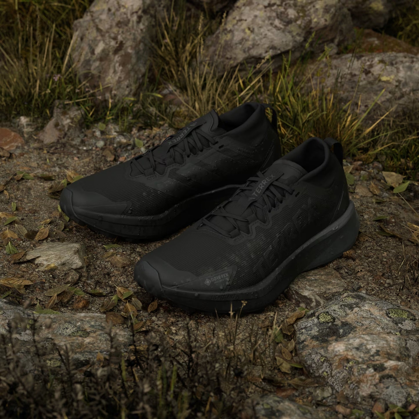 Terrex Agravic GTX Trail Running Shoes