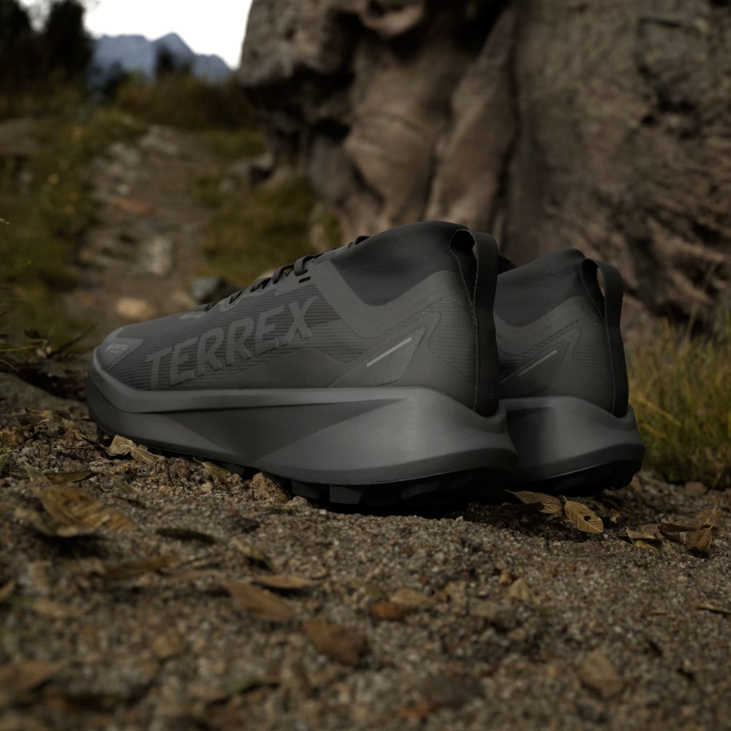 Terrex Agravic GTX Trail Running Shoes