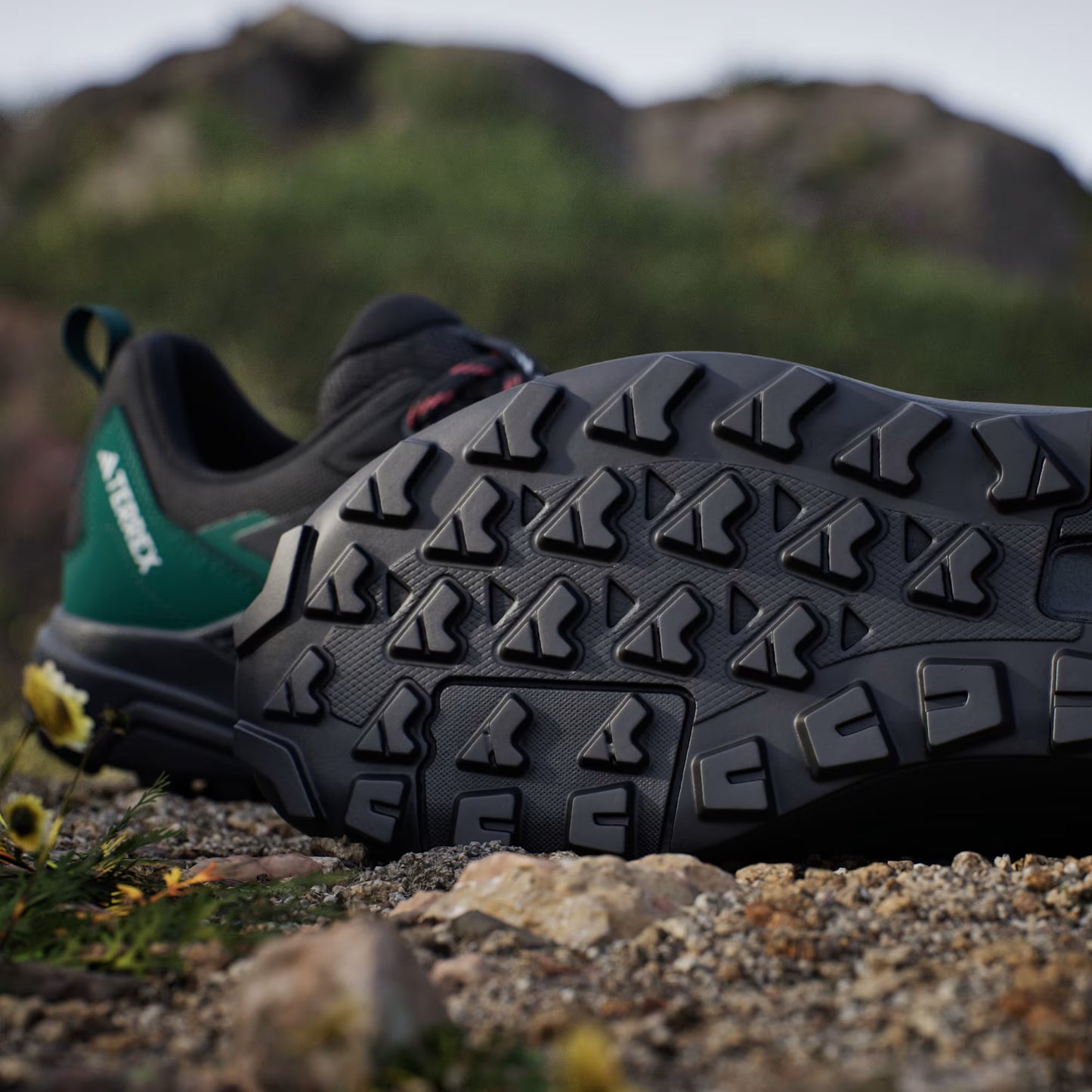 Terrex Anylander Hiking Shoes