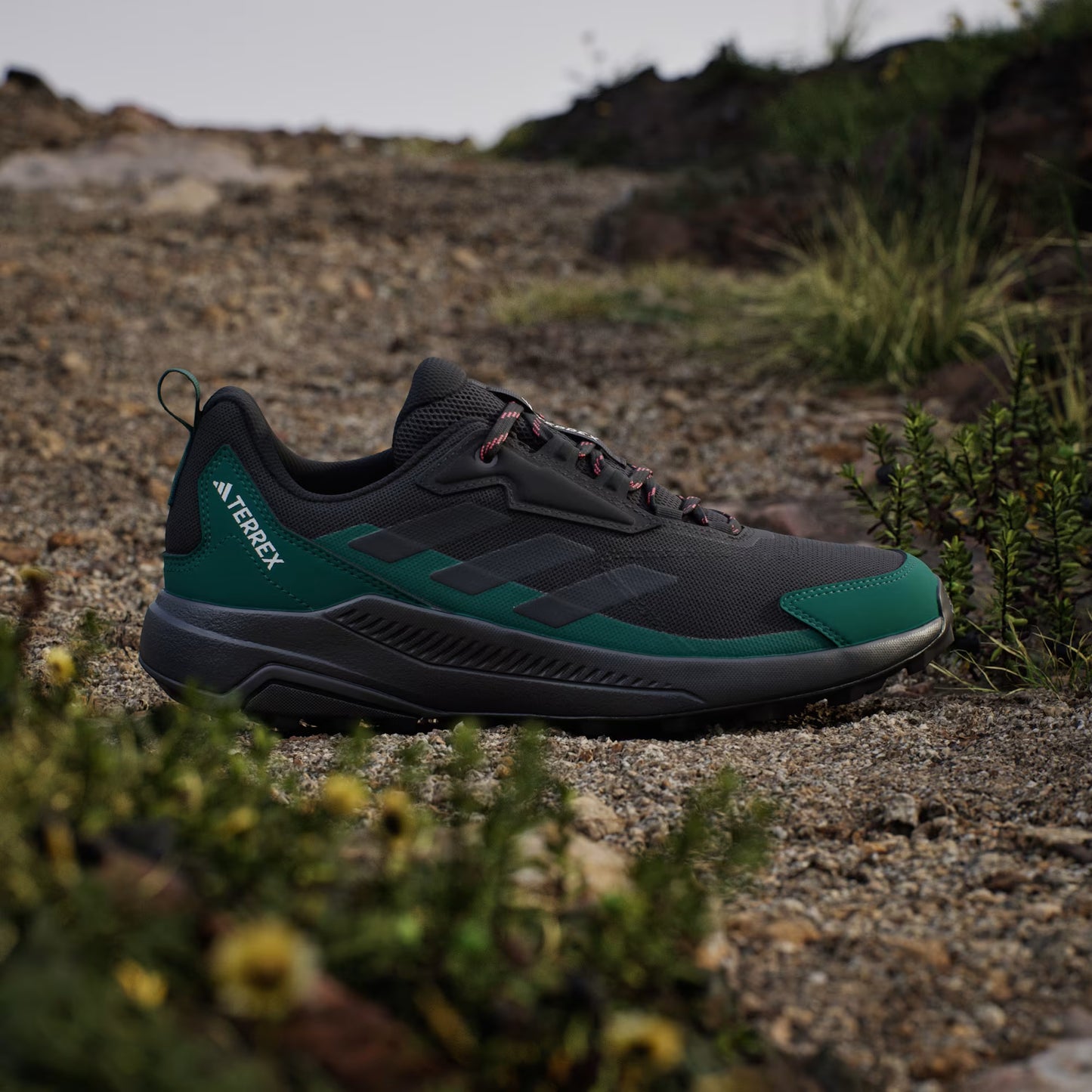 Terrex Anylander Hiking Shoes