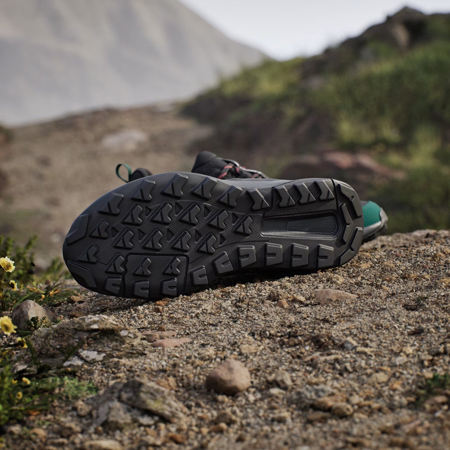 Terrex Anylander Hiking Shoes