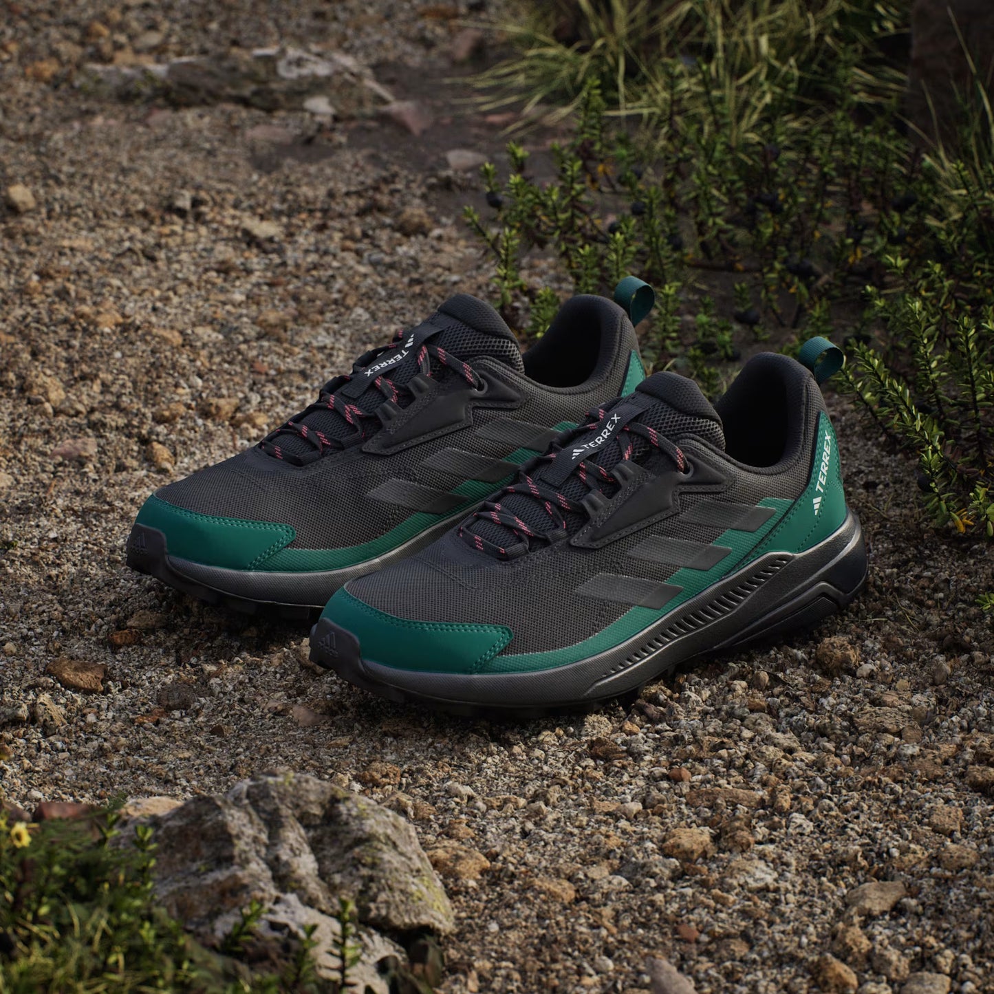 Terrex Anylander Hiking Shoes