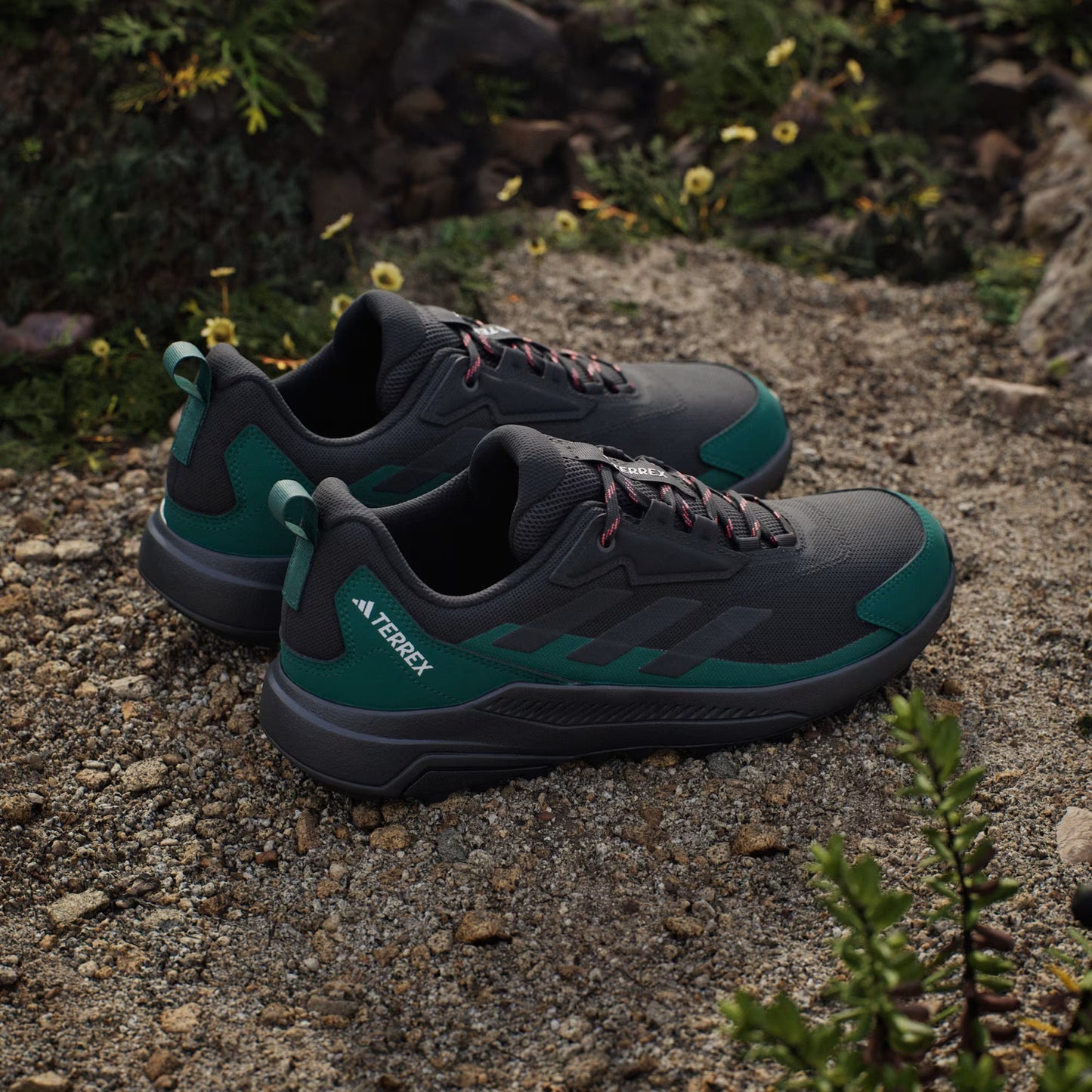 Terrex Anylander Hiking Shoes