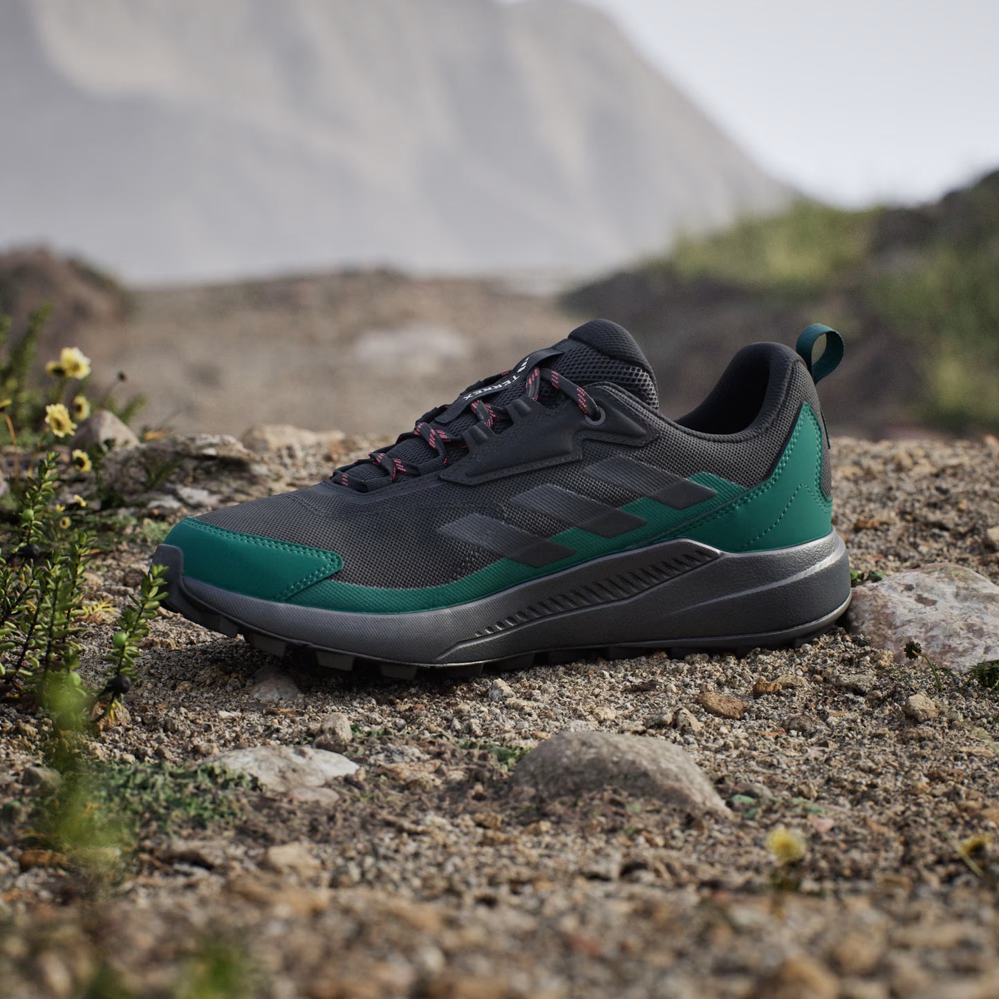 Terrex Anylander Hiking Shoes