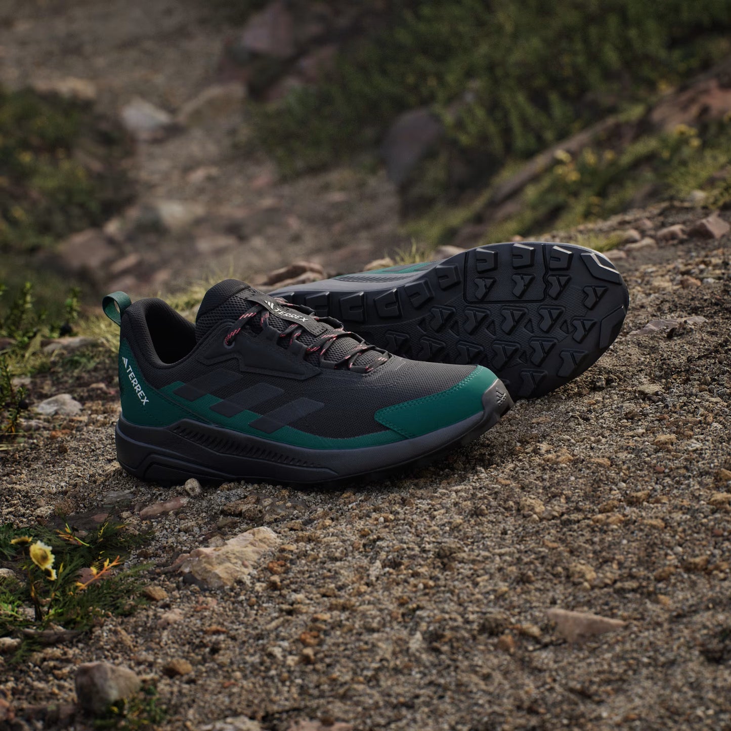 Terrex Anylander Hiking Shoes