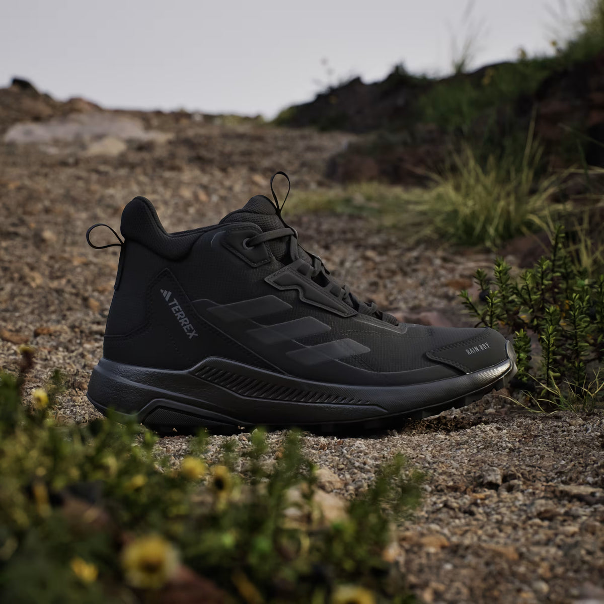 Terrex Anylander Mid Rain.Rdy Hiking Shoes
