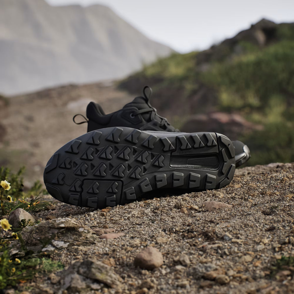 Terrex Anylander Mid Rain.Rdy Hiking Shoes