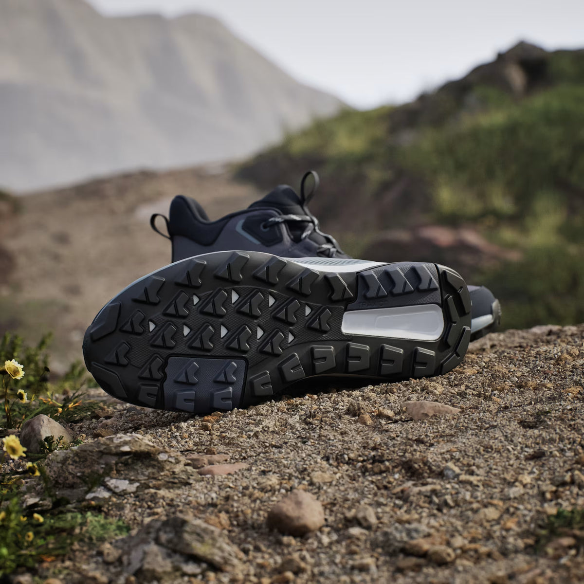 Terrex Anylander Mid Rain.Rdy Hiking Shoes