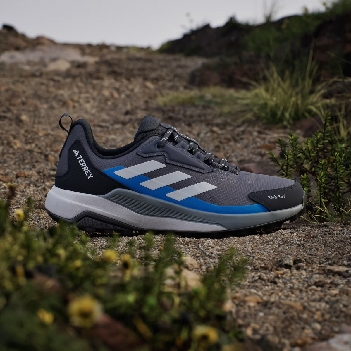 Terrex Anylander Rain.Rdy Hiking Shoes