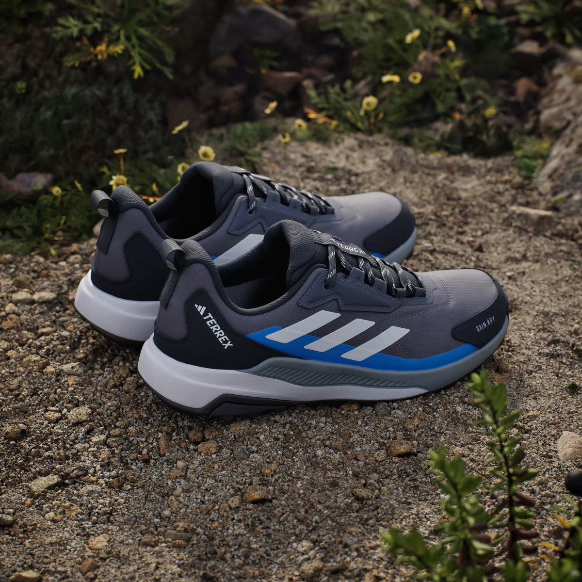 Terrex Anylander Rain.Rdy Hiking Shoes