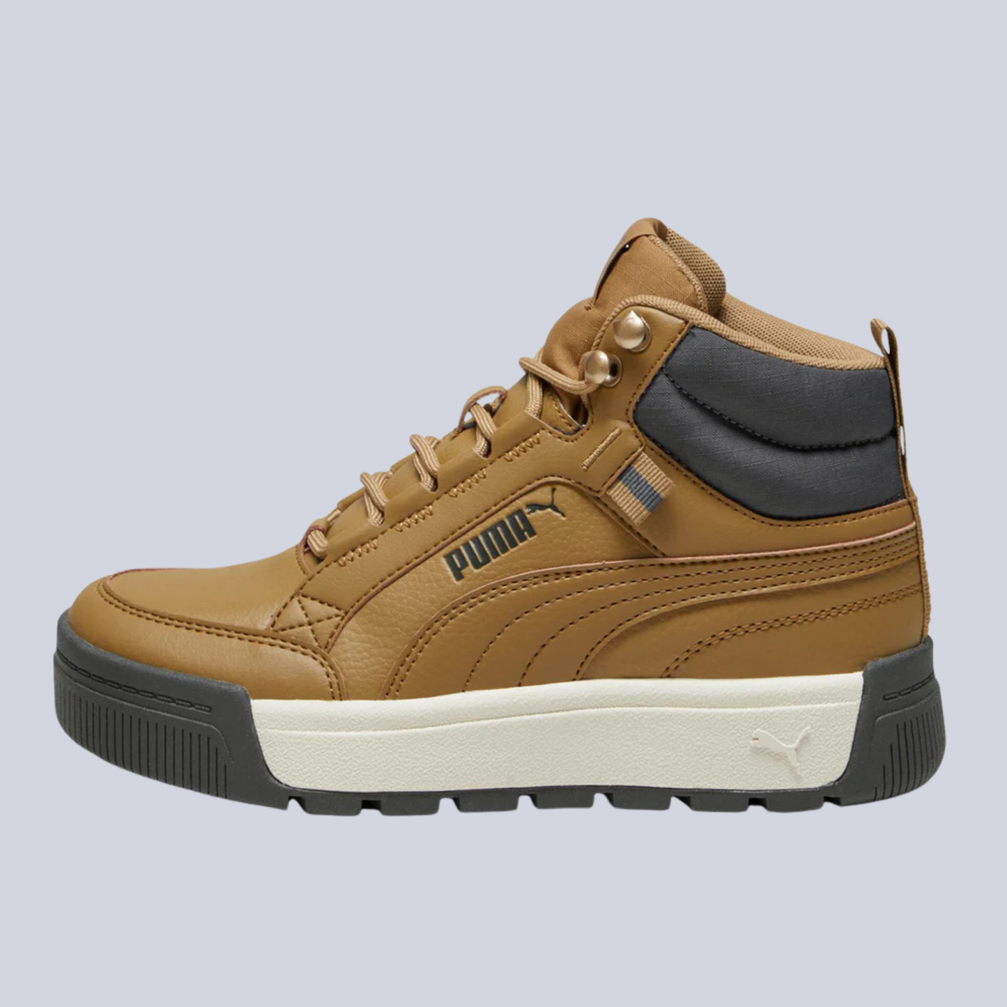 Tarrenz SB III Boots