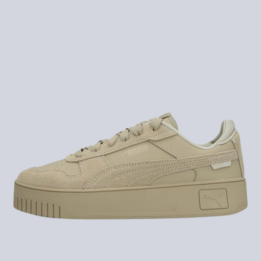 Puma Carina Street SD