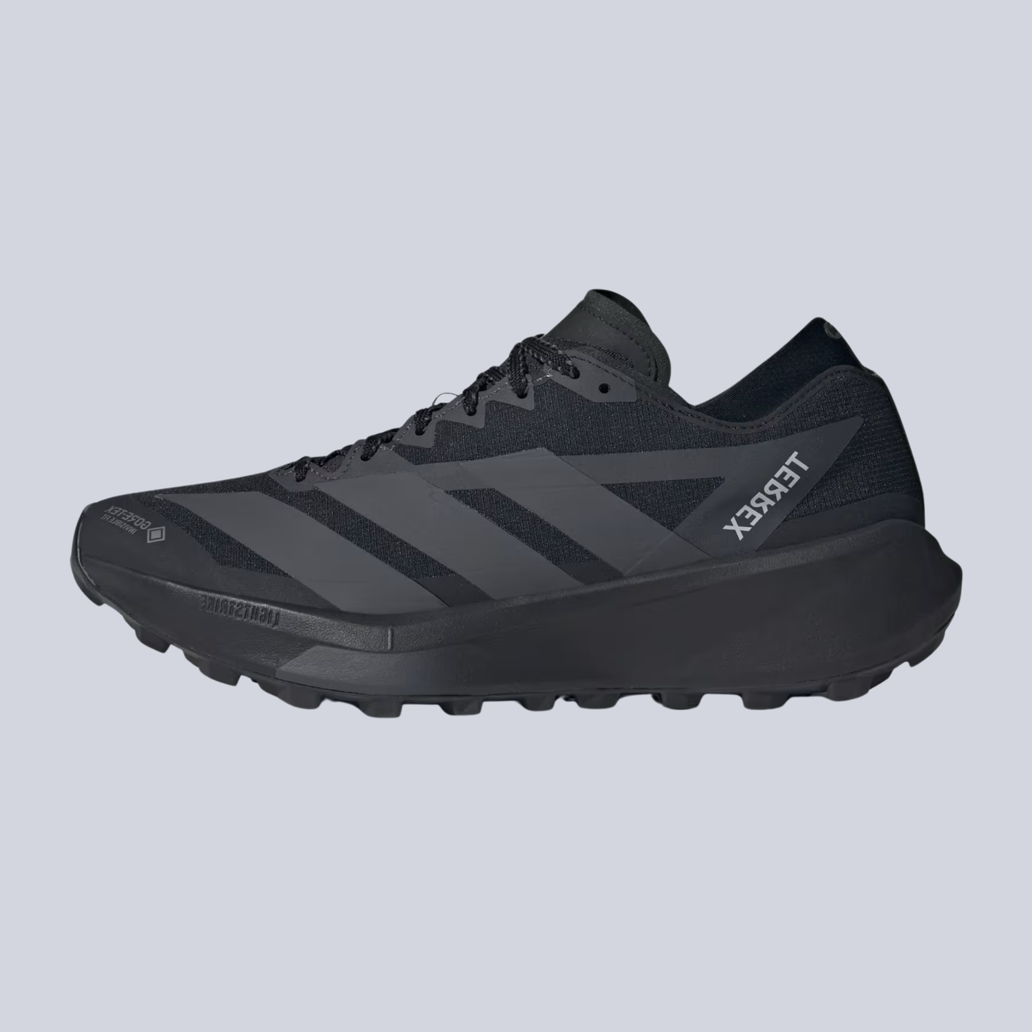 Terrex Agravic GTX 2 Trail Running Shoes